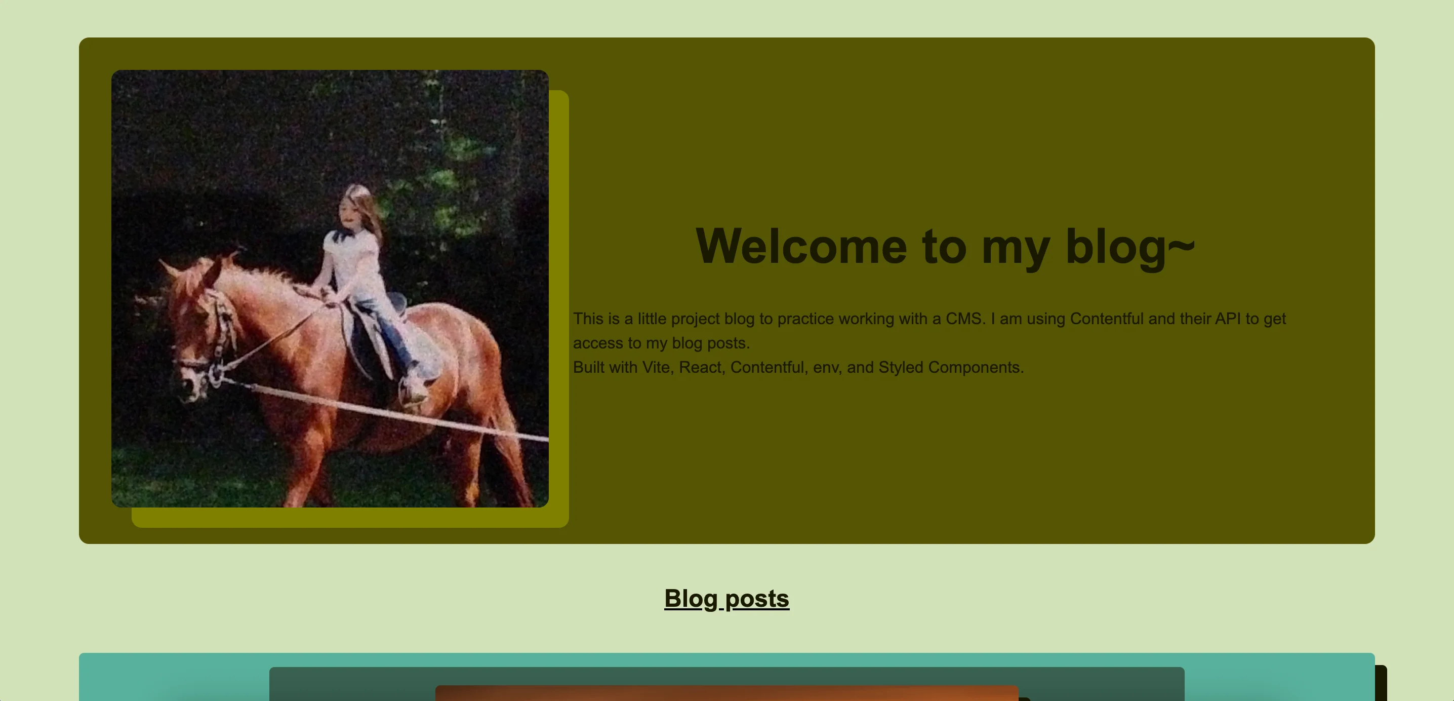 A screenshot of my blog page